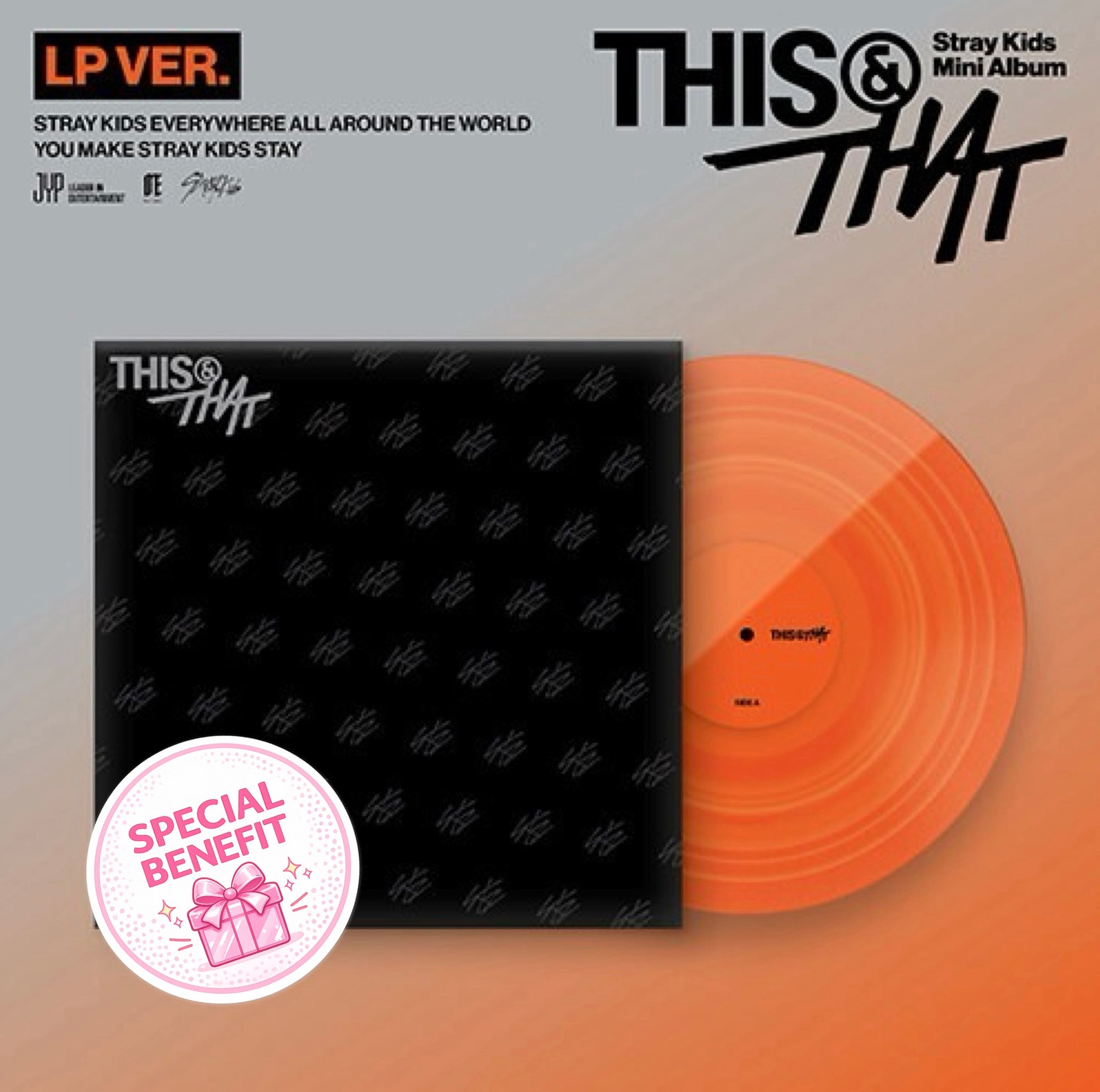 Stray Kids (FANS Gift) 10. Mini Album [THIS & THAT] (LP VER.)