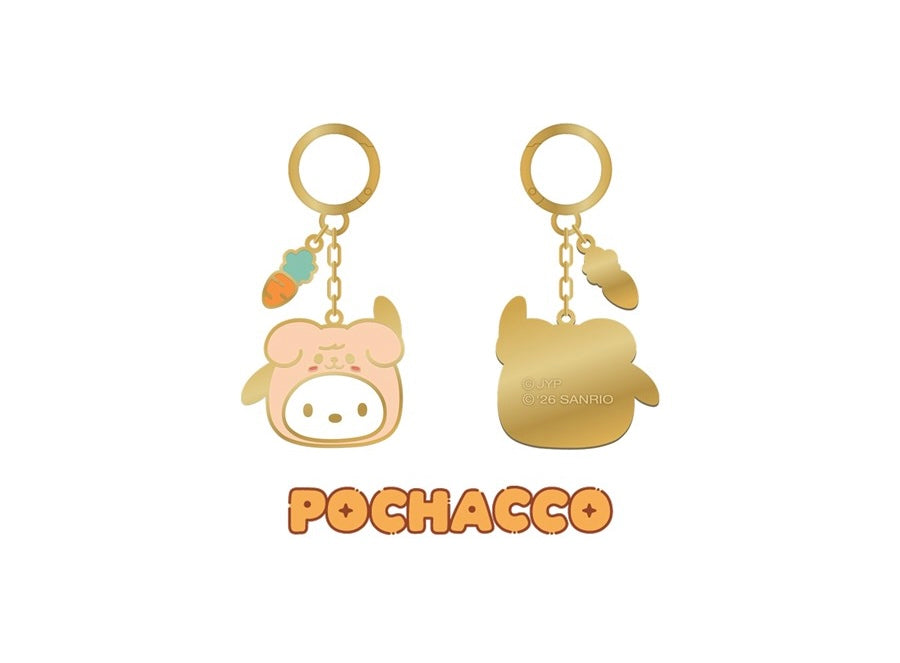 METAL KEYRING Stray Kids SKZOO X SANRIO CHARACTERS