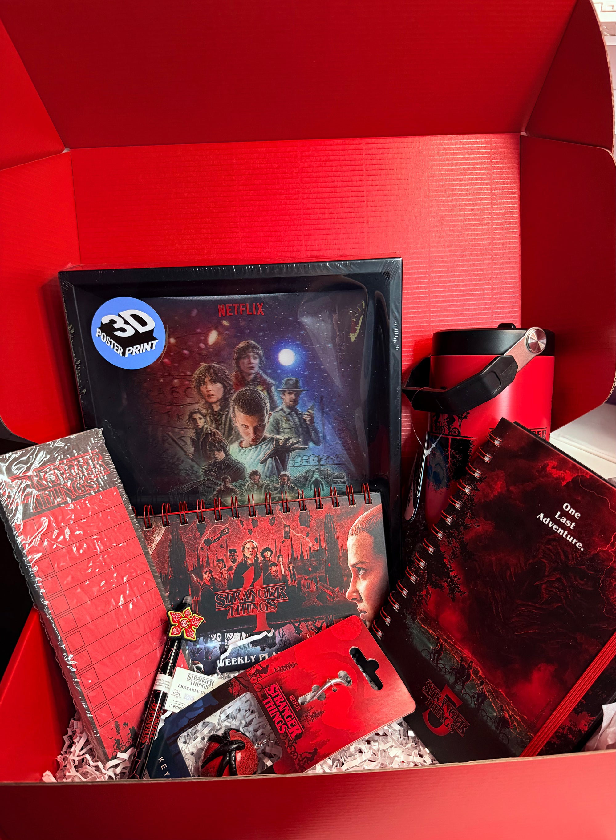 Standard Box - Stranger Things